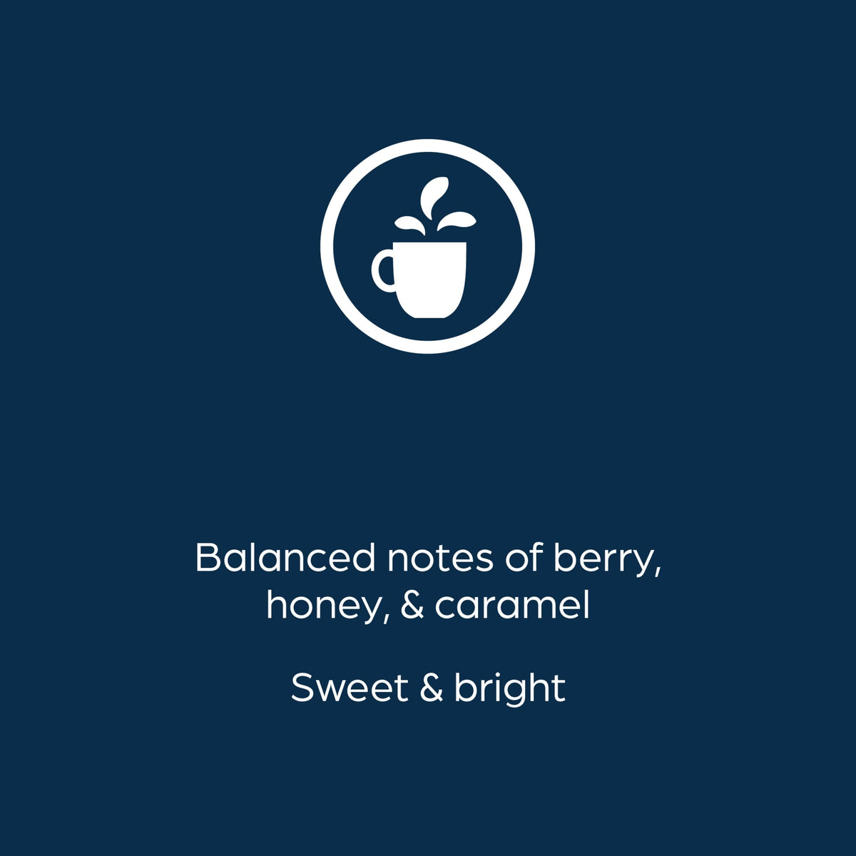 AlterraÂ® Donut Shop Blend Coffee Fresh Packs for Flavia Brewers